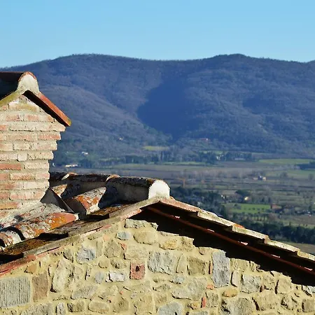 Fonte Comelia Cortona